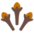shape